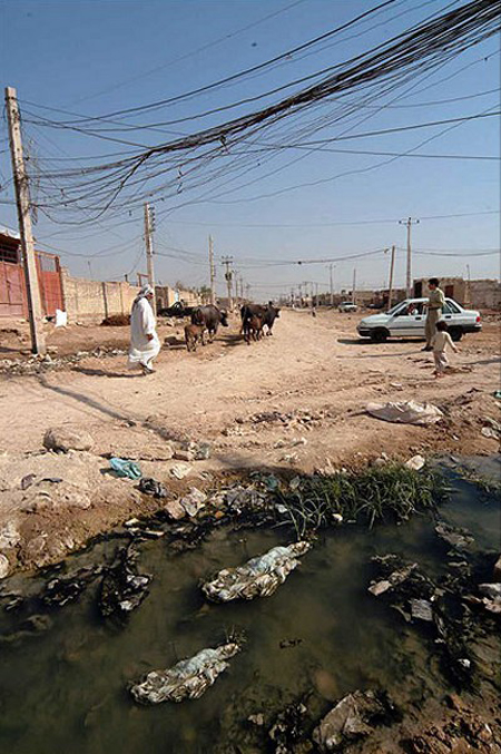 تأسیسات برقی و موزه‌ی حیات وحش در فضای باز 