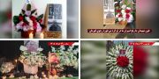 فعالیت‌های جوانان شورشگر، کارزار "سه‌شنبه‌های نه به اعدام" در هفته صدو‌بیست‌و‌پنجم