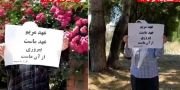 فعالیت‌های جوانان شورشگر در شهرهای میهن، کارزار «سه‌شنبه‌های نه به اعدام»