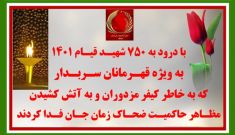 تصویرنگاری در کرمان، همدان، کاشان و ۳۰ پراتیک انقلابی دیگر در شهرهای میهن